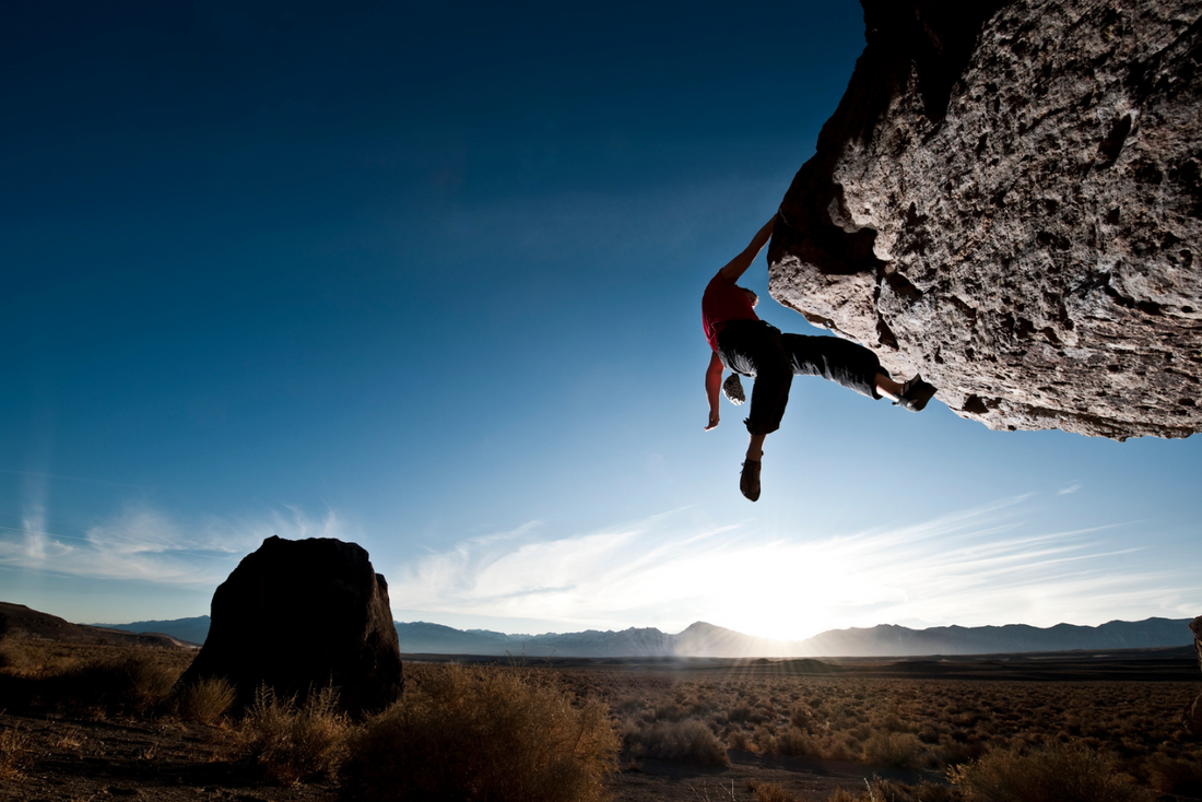 Wildfang and Mental Clarity: How Nutrient-Dense Bars Enhance Focus